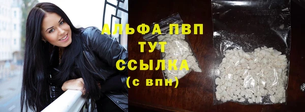 спиды Липки