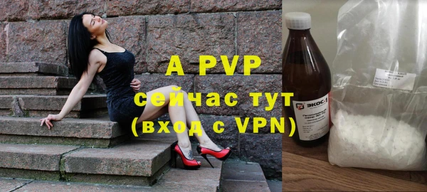 сатива Лихославль