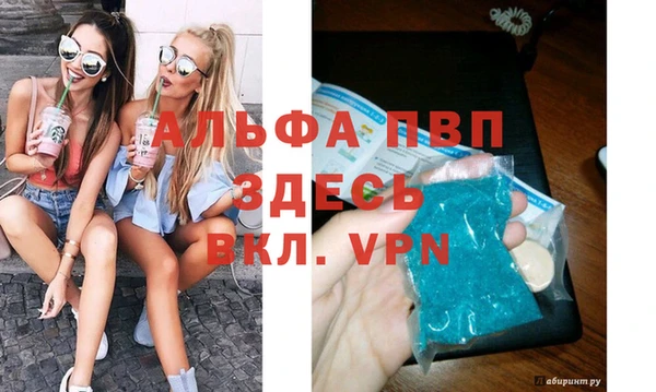 спиды Липки