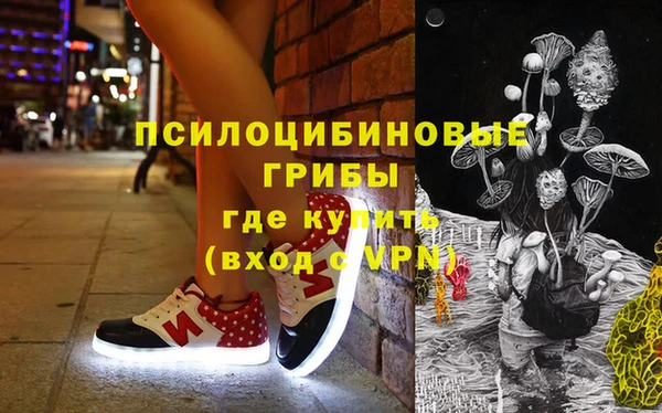 сатива Лихославль